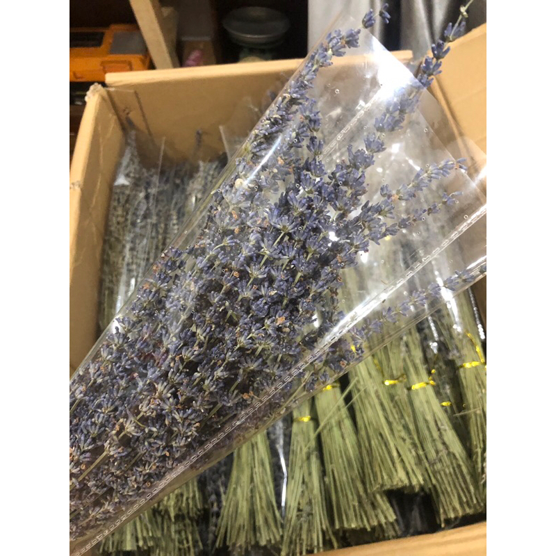 100 cành hoa lavender khô, hoa oải hương trang trí, decor siêu xinh