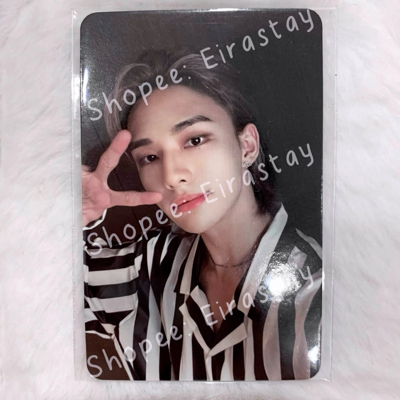 Card Straykids STAY IN STAY JEJU  - Có sẵn