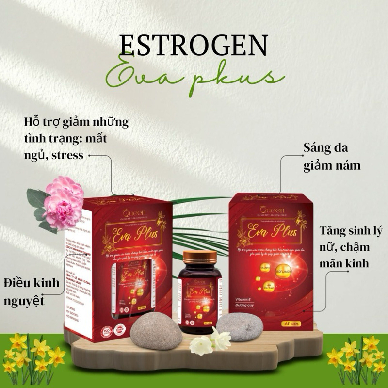 Sâm đương quy EVA PLUS