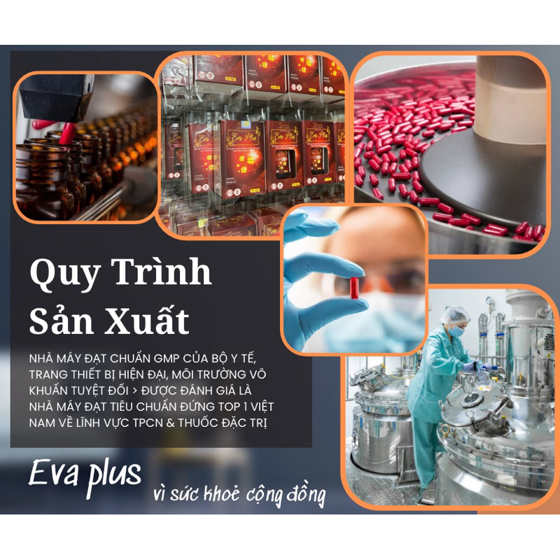 Sâm đương quy EVA PLUS
