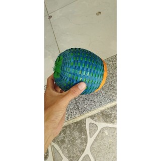 tổ đẻ chim manh manh