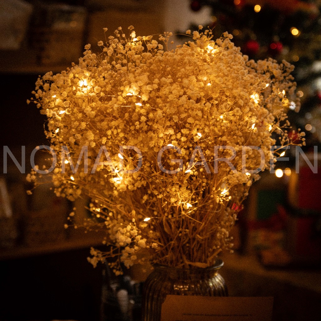 Hộp quà MERRY CHRISTMAS Chúc Mừng Giáng Sinh Xmas Handmade - By Nomad Garden