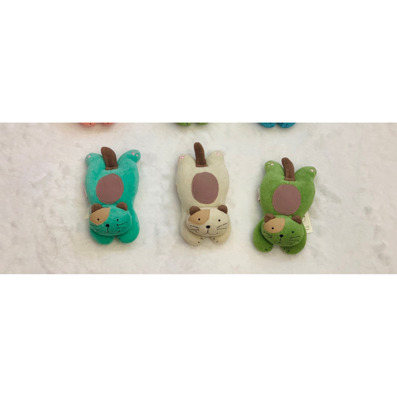 Mèo nhỏ cầm tay Hikosen Cara