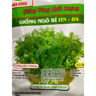 Hạt giống Ngò Rí ngò ta rau mùi thơm