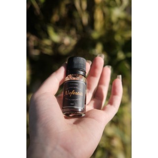 Oil Nefertiti