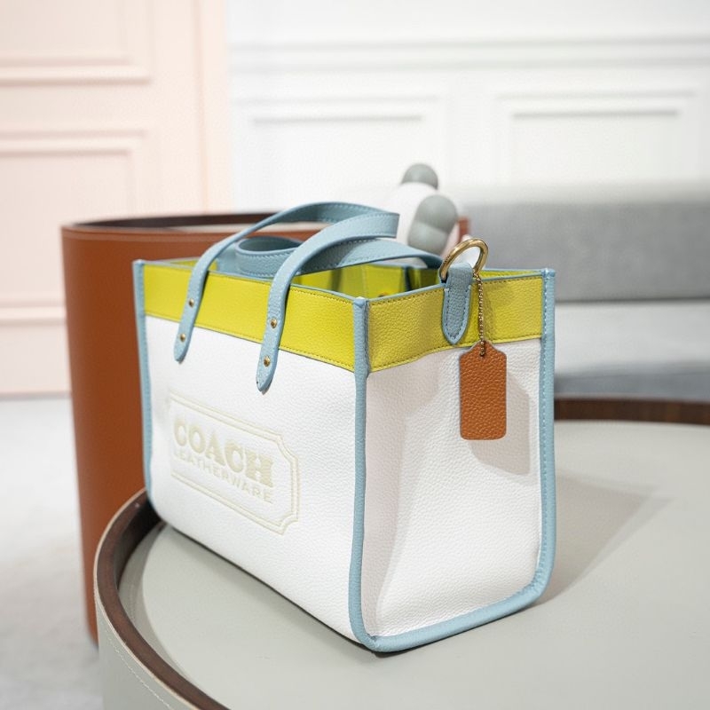 Túi Coach Field Tote 30 In Colorblock
