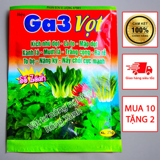 Phân bón GA3 Vọt kích nhú đọt bung chồi đâm tược đẻ nhánh mập cọng GA3VKP25