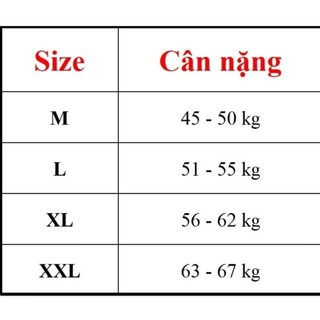 Đầm. Lụa Hoạ Tiết Chữ Dáng Dài