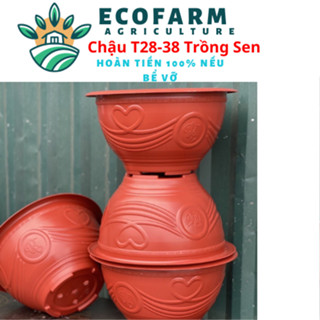 Chậu Nhựa Trồng Cây, Trồng Sen Súng - Trồng Cây Loại Tròn T28-38 ( Hàng Loại 1 )