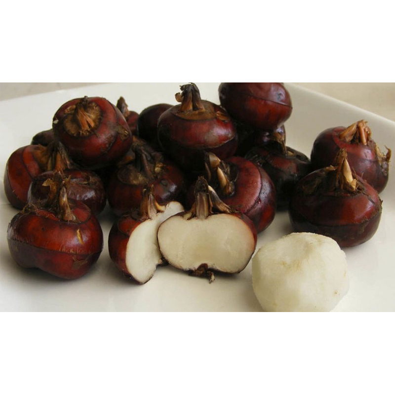 Củ Năng Tươi Gọt Sẵn Hút Chân Không 200g