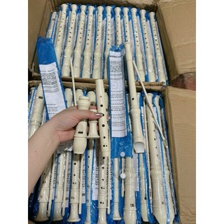 Sáo Recoder 8 lỗ AD 3 khớp chính hãng + que vệ sinh  (Ưu đãi)