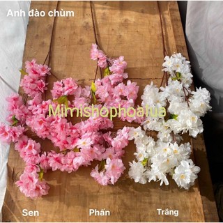 Cành Hoa Anh Đào - Hoa Anh Đào Chùm giả cao 1met, làm cây giả siêu đẹp