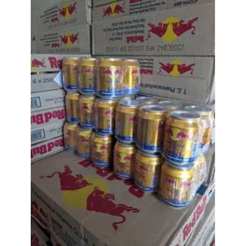 Áo phông- bò húc thái