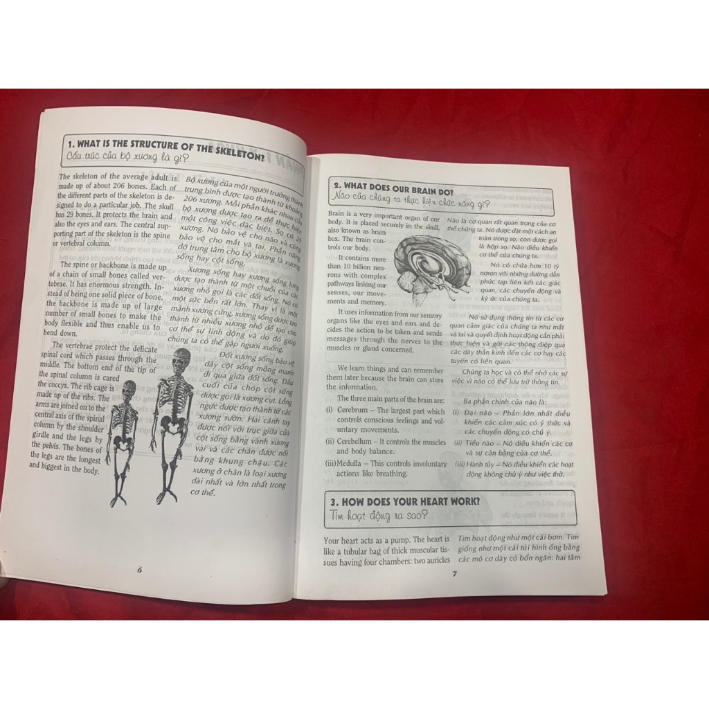 Sách - 540 Câu Hỏi Đáp Tiếng Anh Khoa Học Thường Thức Dành Cho Học Sinh - Sinh Viên - Tân Việt