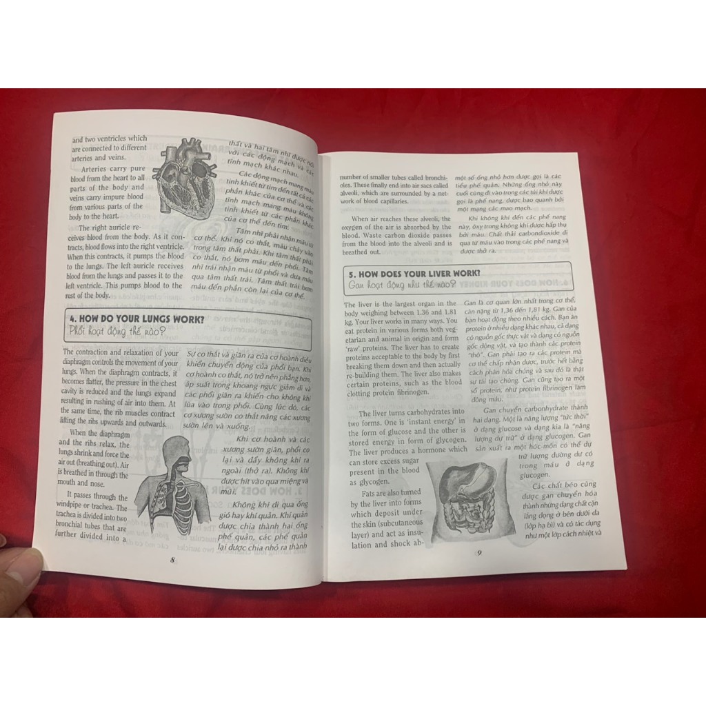 Sách - 540 Câu Hỏi Đáp Tiếng Anh Khoa Học Thường Thức Dành Cho Học Sinh - Sinh Viên - Tân Việt