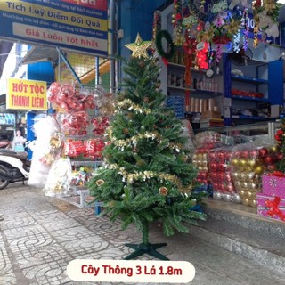 Cây thông noel chaang chiia 1.5m - cây thông giáng sinh cao cấp màu xanh 3 lá gắn trái thông