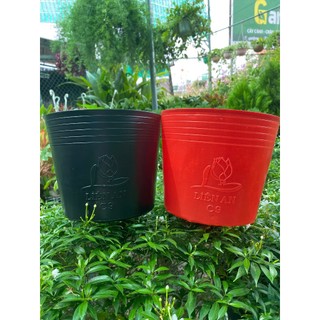 Chậu nhựa đen dẻo trồng và ươm cây c9 - liên an