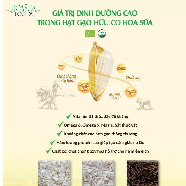 Gạo trắng hữu cơ ST25 Hoa Sữa 1kg - Loại 1 dẻo ngon