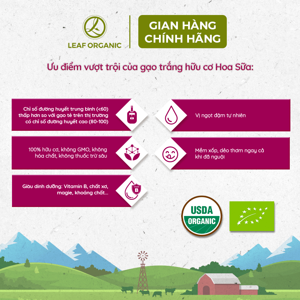 Gạo trắng hữu cơ ST25 Hoa Sữa 1kg - Loại 1 dẻo ngon | BigBuy360 - bigbuy360.vn