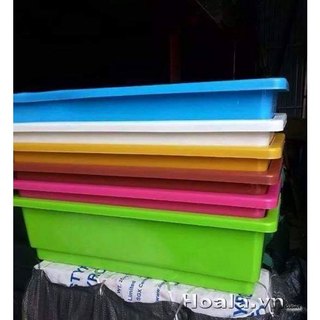 Set 03 Chậu nhựa thông minh trồng rau hoa,48x20x16cm hình chữ nhật