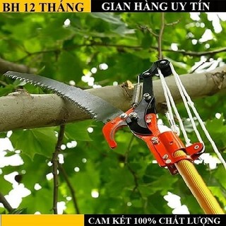 Đầu kéo tỉa cành, cắt cành cây trên cao,hái quả ,kết hợp cưa cành