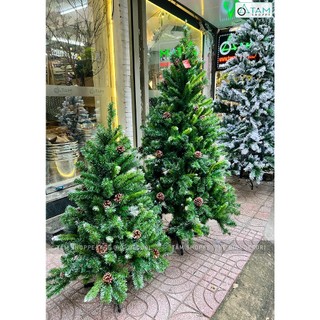 Cây thông noel xanh 3 loại lá gắn trái thông cao từ 120-300cm x-tree-15-1