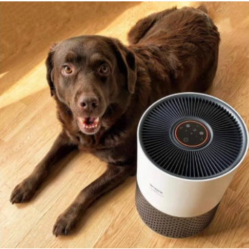 MÁY LỌC KHÔNG KHÍ WINIX COMPACT AAPU500-JLE 50M2