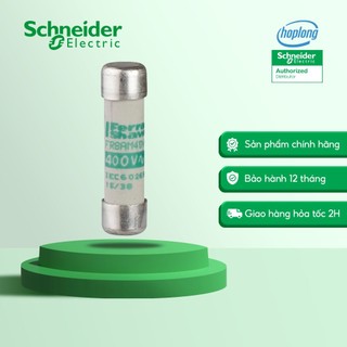 Cầu chì Schneider DF2BA0400 hộp NFC, TeSys GS, hình trụ 8.5x31.5mm, loại aM, 400VAC, 4A, không có chốt