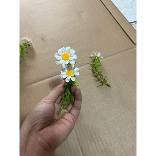 100g cỏ điểm hoa cúc họa mi