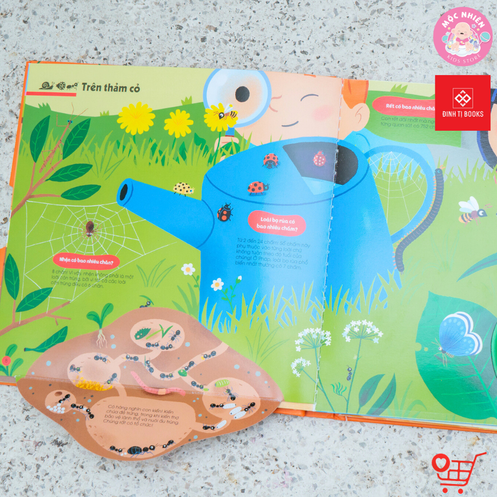 Sách - 1001 câu hỏi đáp về thế giới quanh ta - Động vật và Bên Trên Bên Dưới - Đinh Tị Books