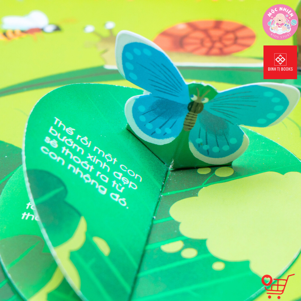 Sách - 1001 câu hỏi đáp về thế giới quanh ta - Động vật và Bên Trên Bên Dưới - Đinh Tị Books