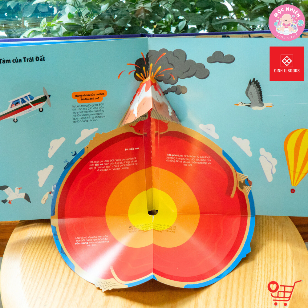 Sách - 1001 câu hỏi đáp về thế giới quanh ta - Động vật và Bên Trên Bên Dưới - Đinh Tị Books