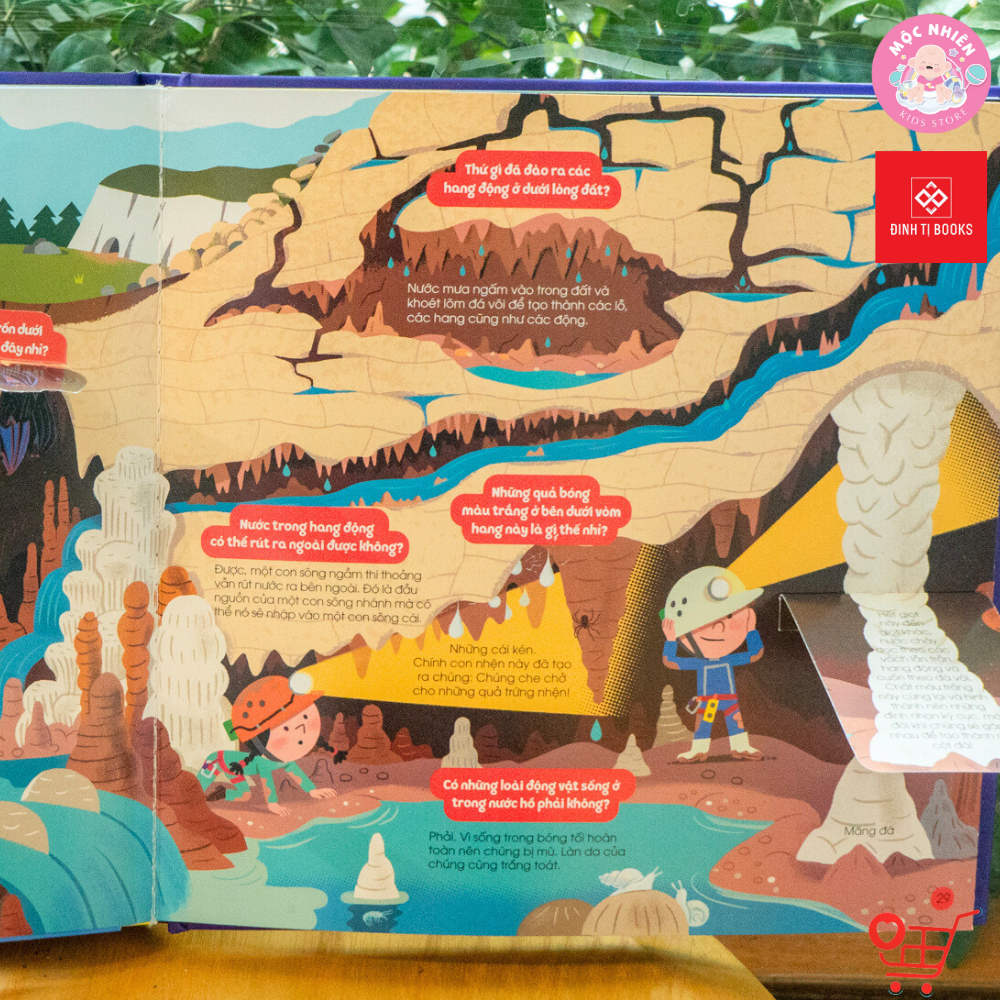 Sách - 1001 câu hỏi đáp về thế giới quanh ta - Động vật và Bên Trên Bên Dưới - Đinh Tị Books