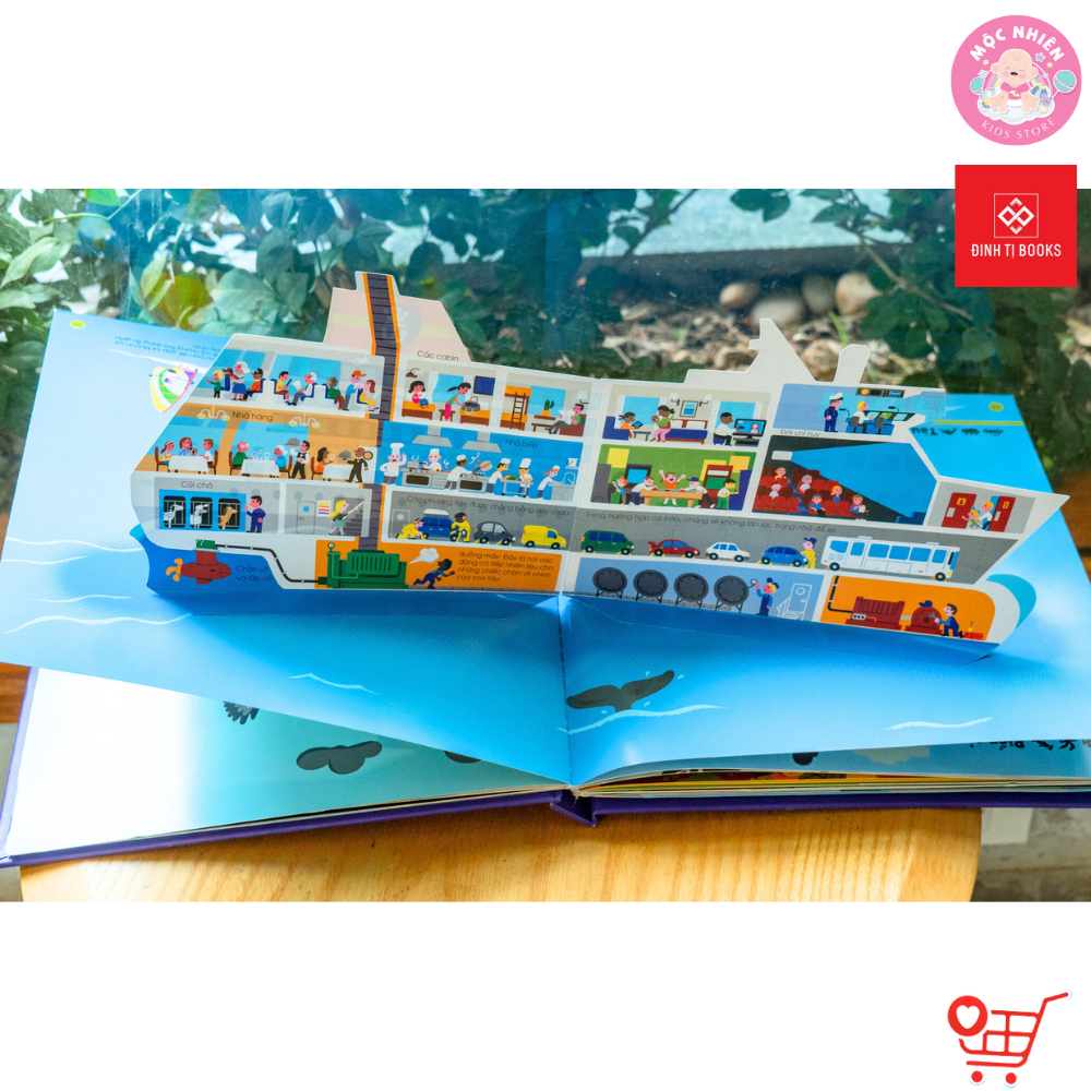 Sách - 1001 câu hỏi đáp về thế giới quanh ta - Động vật và Bên Trên Bên Dưới - Đinh Tị Books