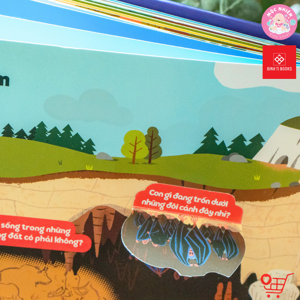 Sách - 1001 câu hỏi đáp về thế giới quanh ta - Động vật và Bên Trên Bên Dưới - Đinh Tị Books