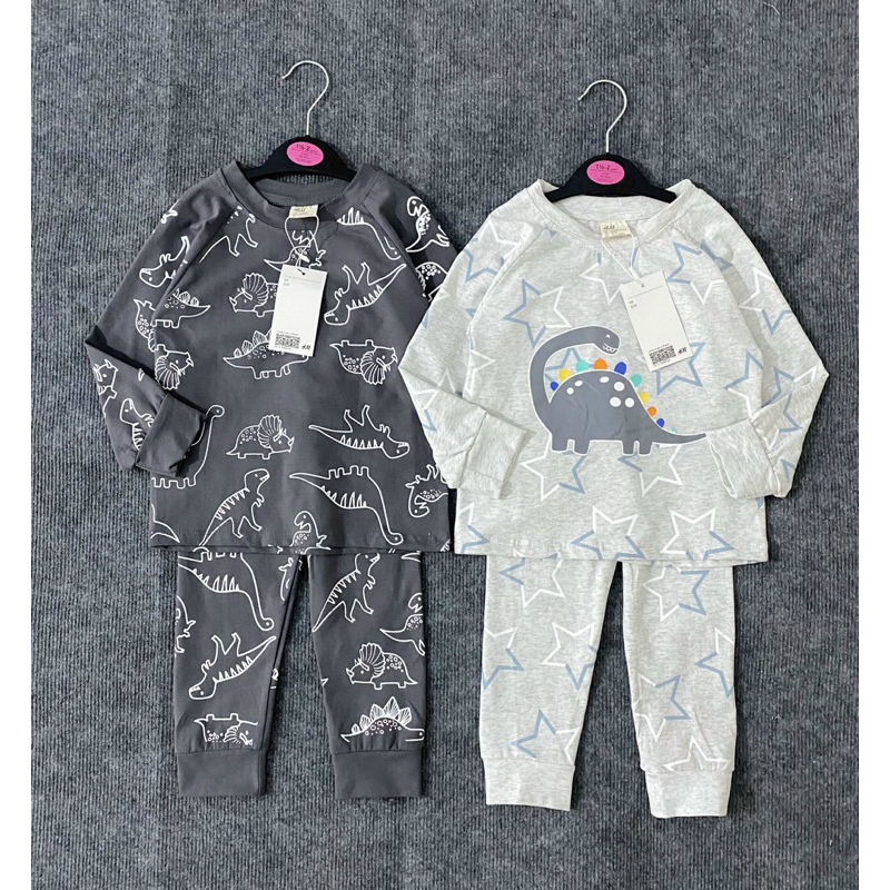 Set 2 bộ cotton dài tay hình khủng long màu ghi xám cho bé trai