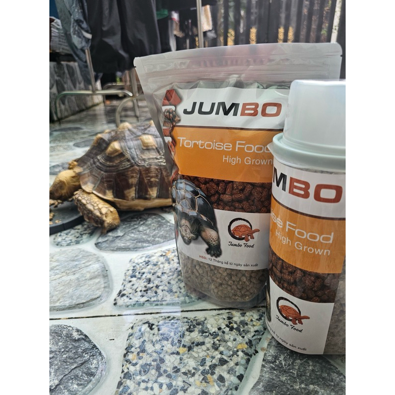 1KG CÁM RÙA CẠN JUMBO GIÀU DINH DƯỠNG