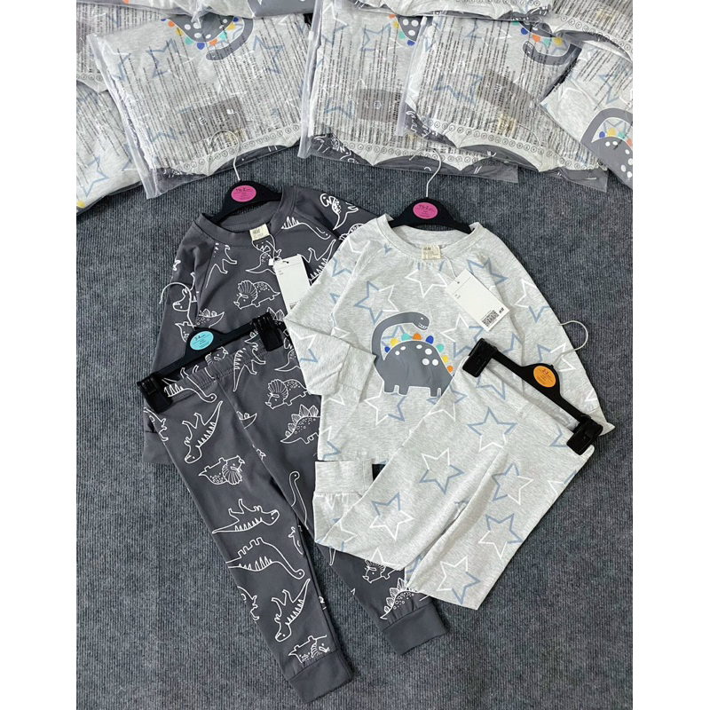Set 2 bộ cotton dài tay hình khủng long màu ghi xám cho bé trai