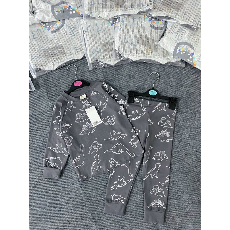 Set 2 bộ cotton dài tay hình khủng long màu ghi xám cho bé trai