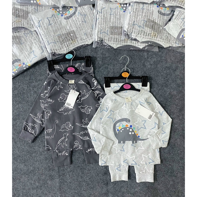 Set 2 bộ cotton dài tay hình khủng long màu ghi xám cho bé trai