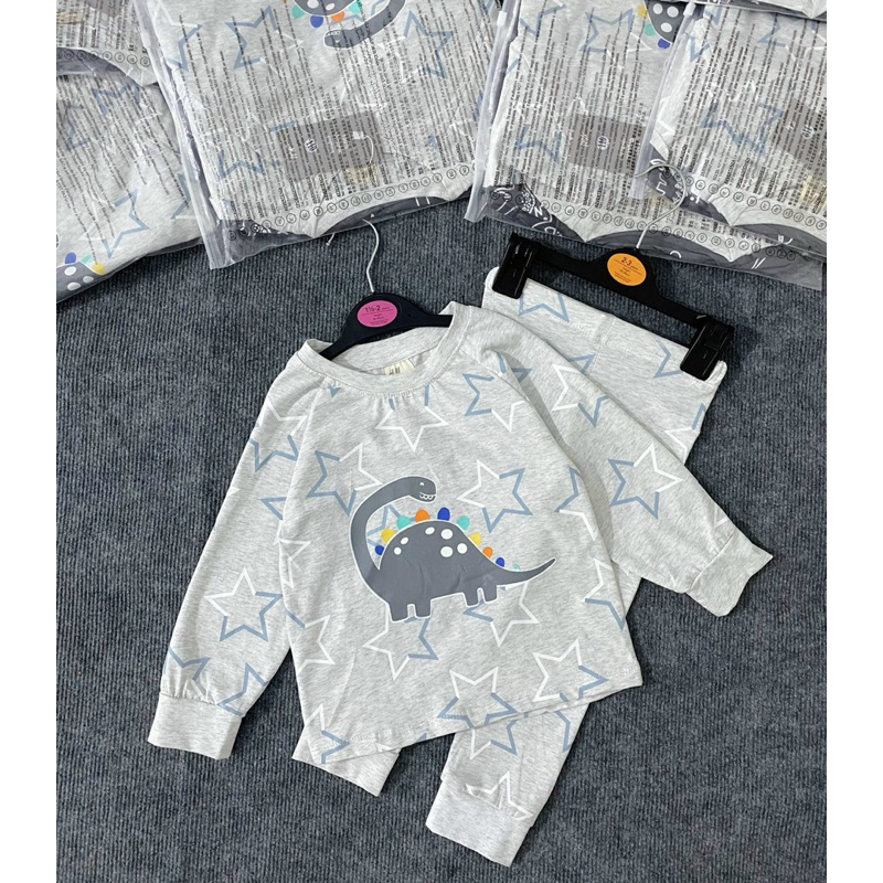 Set 2 bộ cotton dài tay hình khủng long màu ghi xám cho bé trai