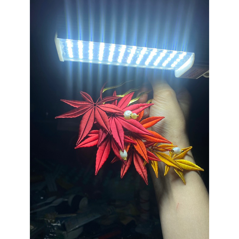 Phong Diệp - Chanhua