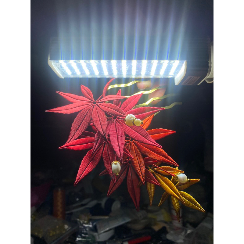 Phong Diệp - Chanhua