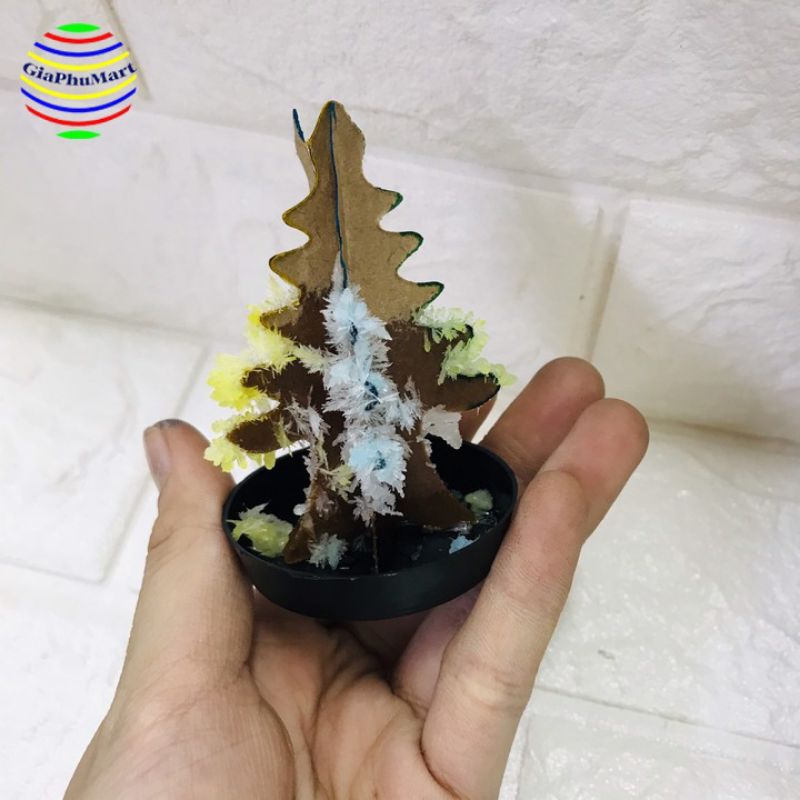 Vỉ 20 cây thông tuyết ma thuật , đồ chơi noel cây thông nở ra tuyết