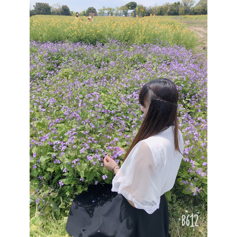 ÁO TRẮNG - ÁO SƠMI KẺ  _mã 110 sản phẩm đặt trên live