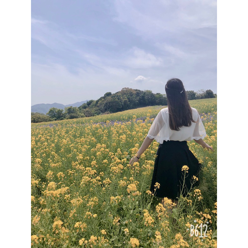 ÁO TRẮNG - ÁO SƠMI KẺ  _mã 110 sản phẩm đặt trên live