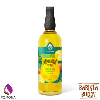 Siro pha chế mixology Pomona các loại
