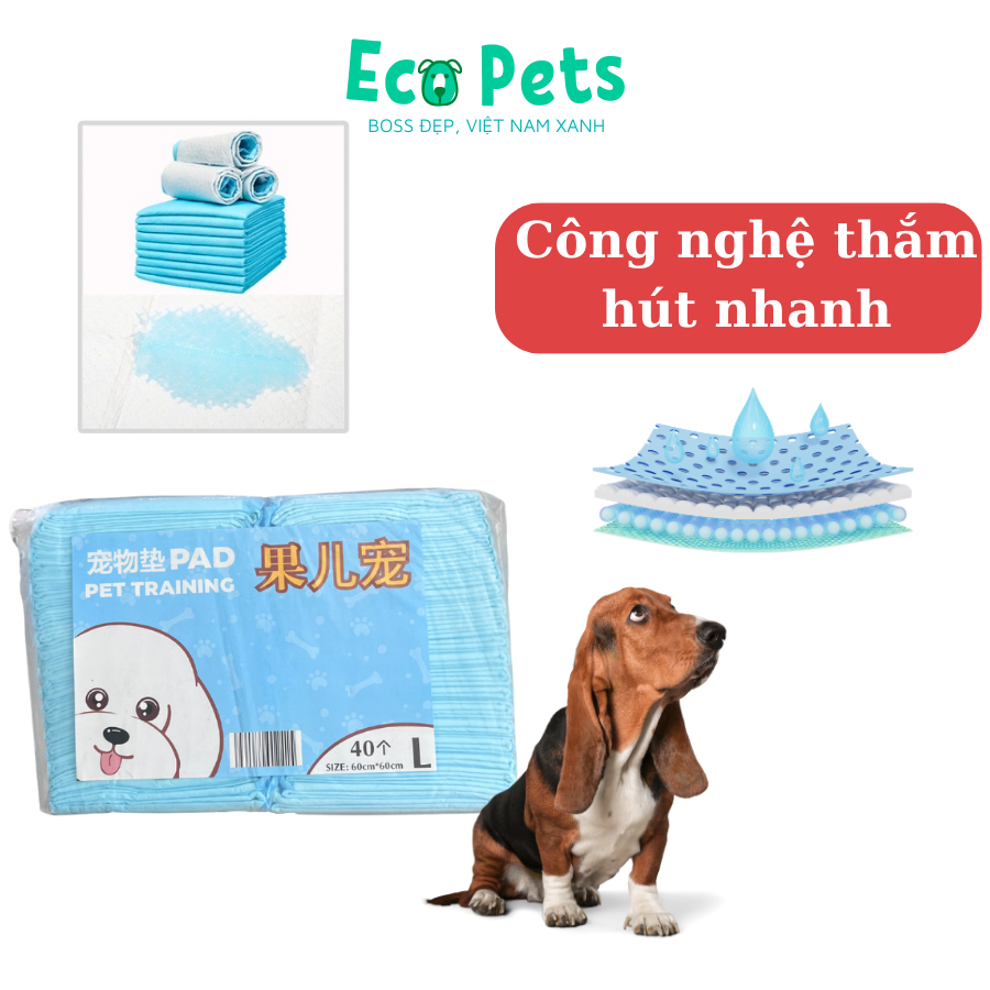 Tã lót miếng lót chuồng ECOPETS cho chó mèo siêu thấm hút dùng cho khay vệ sinh chó tã cho mèo bầu mèo con - size S/M/L