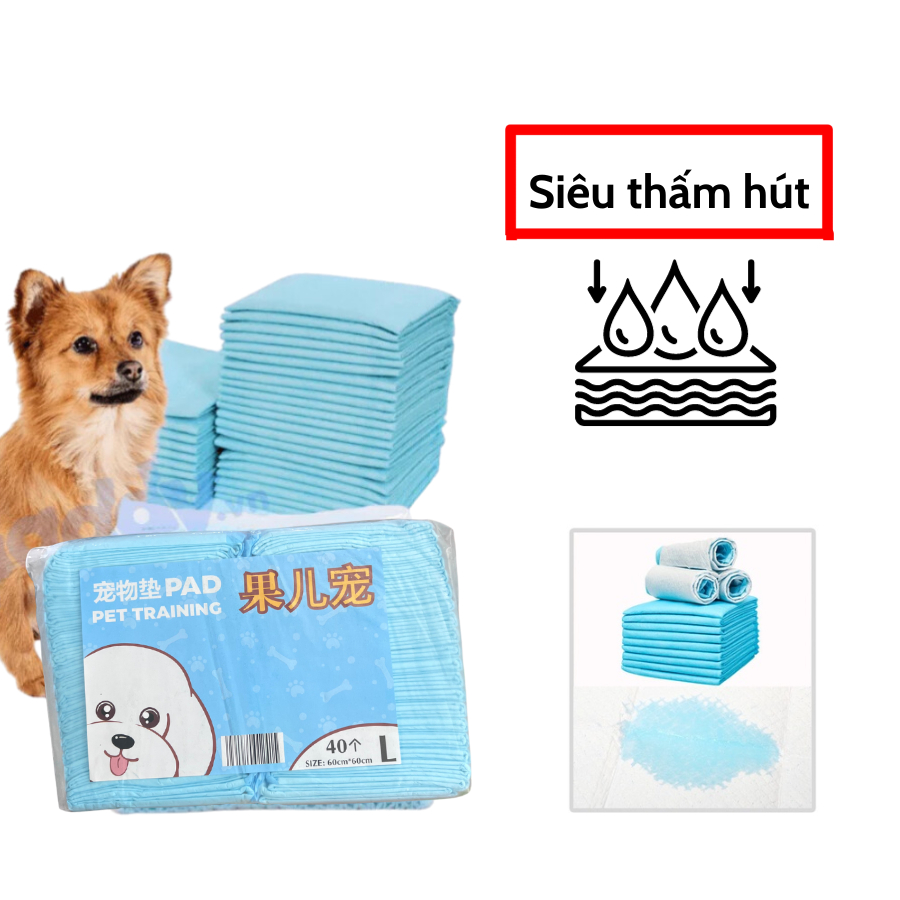 Tã lót miếng lót chuồng ECOPETS cho chó mèo siêu thấm hút dùng cho khay vệ sinh chó tã cho mèo bầu mèo con - size S/M/L