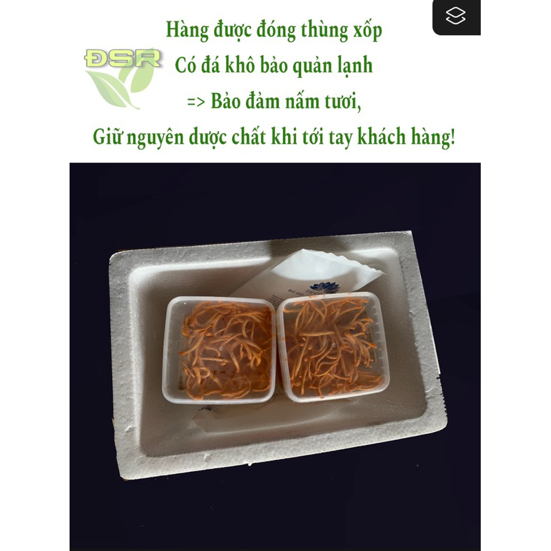Đông Trùng Hạ Thảo Tươi 200gr
